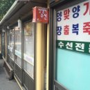 멋쟁이수선