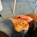 명진상사 | 서면사진관 어디 갈지 고민이라면, 전포동사진관 진픽스튜디오