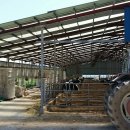 달샘목장 이미지