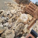 두우리해수욕장 이미지