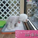 부흥미용실 이미지