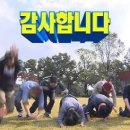 목련세차