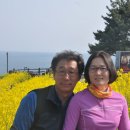 밀물회