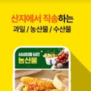 욜로유통 이미지