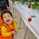 창아어린이집 이미지