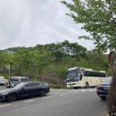 삼안로3R 네이버블로그