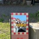 미도리 이미지