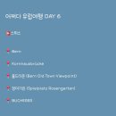 [어쩌다 유럽여행 EP.08] 스위스 베른 힐링 산책 인터라켄 롤렉스 티스푼 교환하기