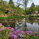 태화강국가정원 이미지