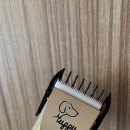 천풍동물병원 이미지