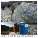 집집마다 미술관 이미지