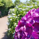 동광리-1 이미지