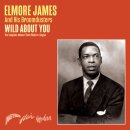 Sho 'Nuff I Do - Elmore James - 이미지