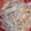 라운딩골프존 이미지