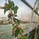 해뜬농장 이미지