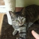 전병준동물병원 이미지