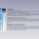 힐스템 테라피 이미지