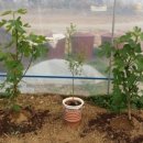 무화농장2 이미지