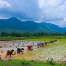 동부번역 이미지