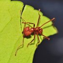 개미농장 이미지