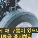 팔마 이미지