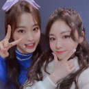 조아(ZOA) 이미지