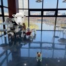 리츠펫 서산호수공원점 이미지