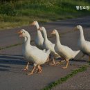 엘림의원 이미지