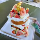 세라케이크 sera cake