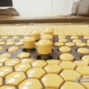 쓰리에이치 화명센터 이미지