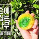 나무환경 이미지