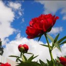 엘리스의원 이미지