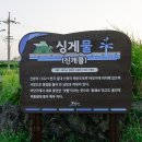 제주노을전기자전거 티스토리