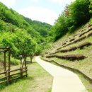 제천 성내관광지 이미지