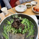 굴뚝능이버섯백숙 | 대구 화원맛집 &#39;굴뚝능이버섯백숙&#39; = 아지야들 찐맛집, 능이국물 진한 몸보신 칼국수까지!