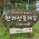 한라산영실돌오름표고버섯 | <제주여행>한라산 둘레길~ 천아숲길