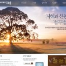 사파동335 이미지