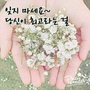 아름다운 영상글 ㅡ인생은 구름 같은것ㅡ 이미지