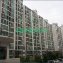 수림치과의원 네이버블로그