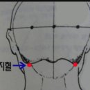 ~감기나 뇌질환은 풍지혈을 마사 지하고 뜨겁게 데우고 뜨겁게 달구 자 이미지