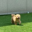 어썸멍스쿨 이미지