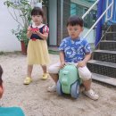 벌교어린이집 이미지