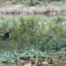 청라호수공원(제3주차장) 이미지