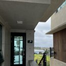 더쉼효소 이미지