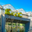 [수성구청] 생각을 담는 정원 이미지