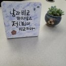 중화주짓수