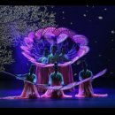 광명청소년예술단 정기공연 이미지