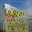 영심이다육카페