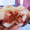 일화농장 이미지