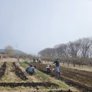텃밭이야기
